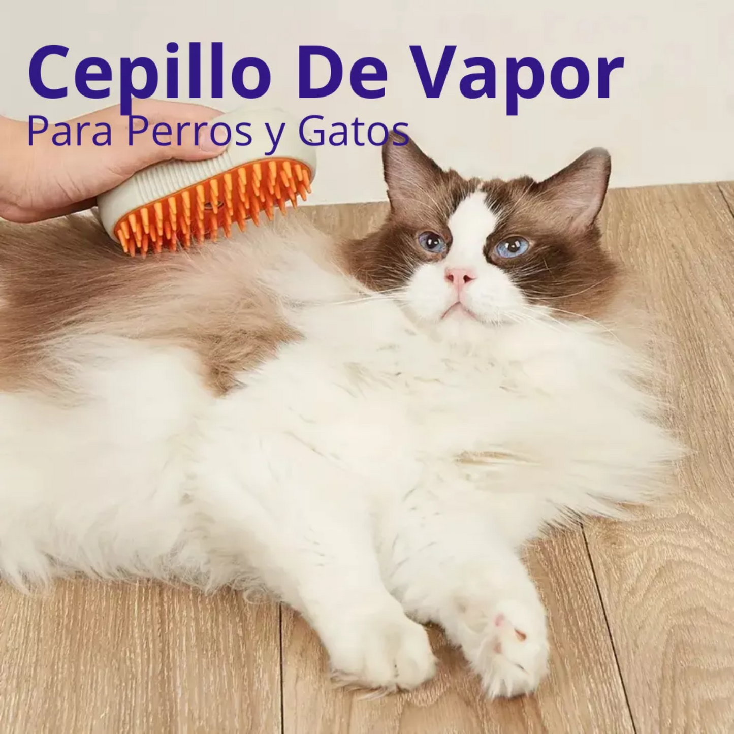 🎁 Cepillo vapor para  mascota